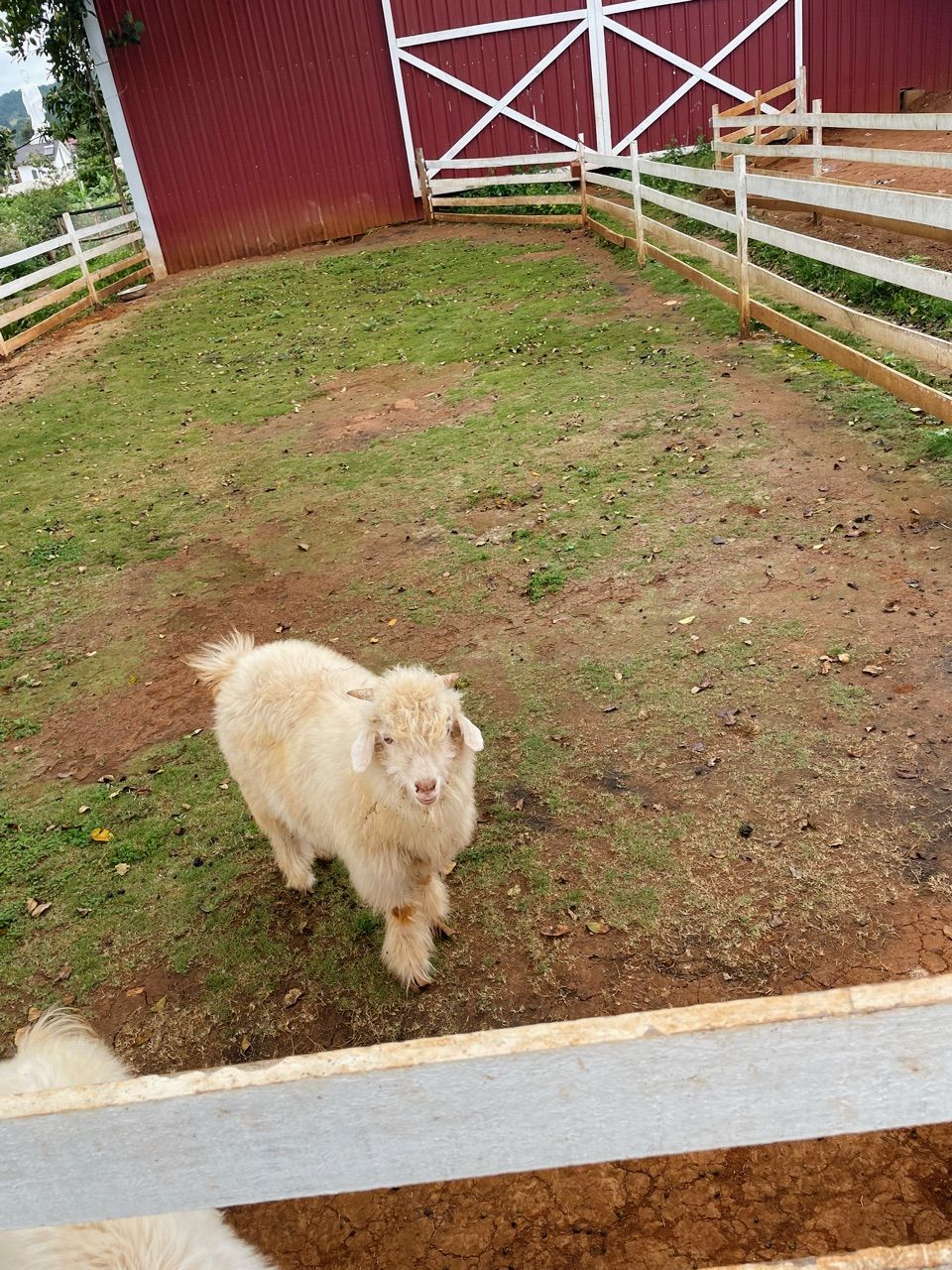 vn-11134103-7ras8-m4umnmutbu469f