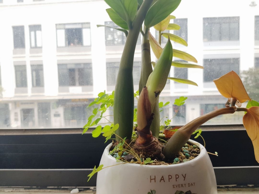 vn-11134103-7ras8-m51e898k13g866