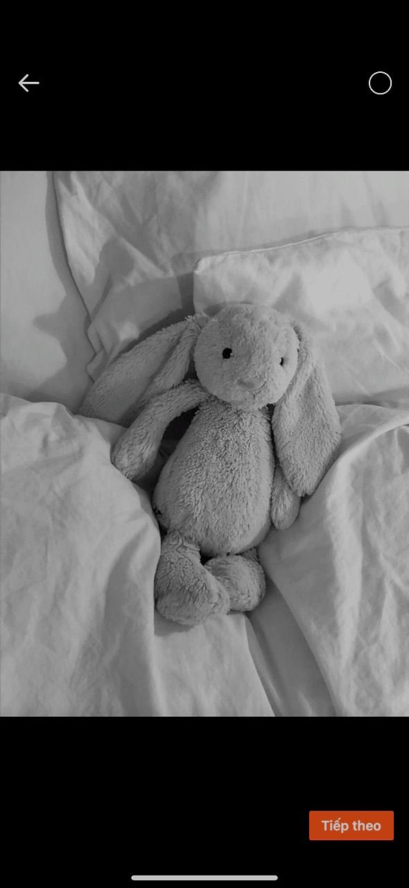 vn-11134103-7ras8-m51lxo15hizb07