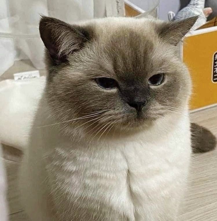 vn-11134103-7ras8-m5idsnydewyf6e