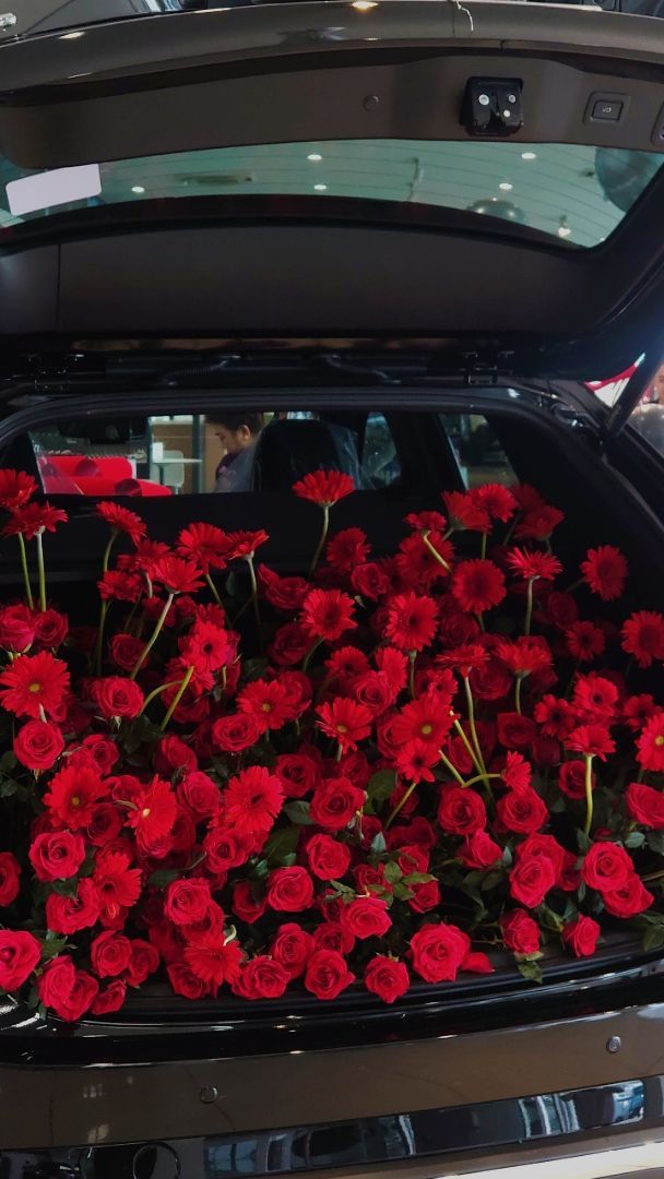 vn-11134103-7ras8-m5tfq4hoy4ub05