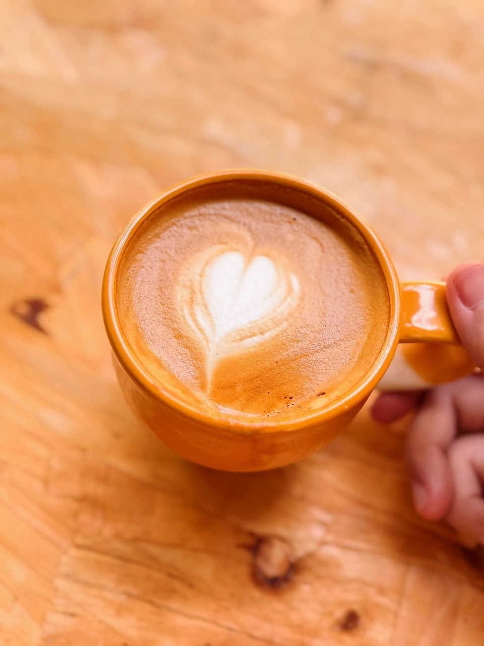 vn-11134103-7ras8-maqvt083dor041