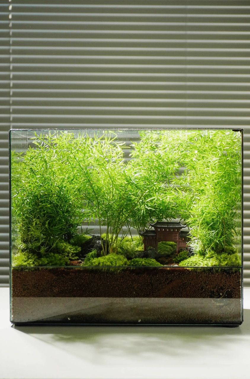 vn-11134103-7ras8-mawzv6gecebwf6