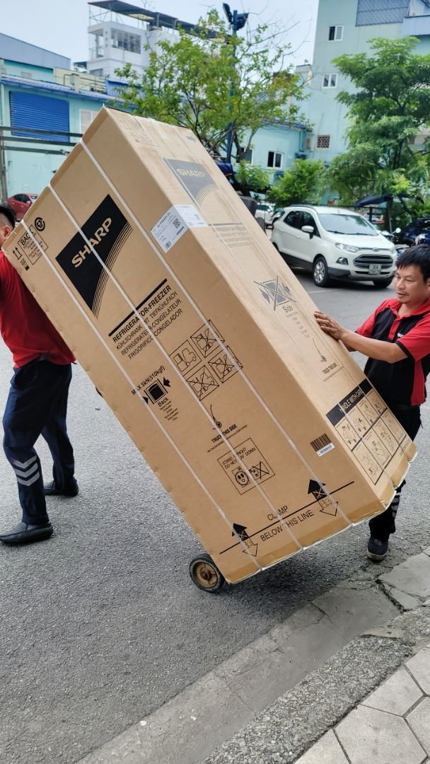 vn-11134103-7ras8-mc9e60jcf6ub24