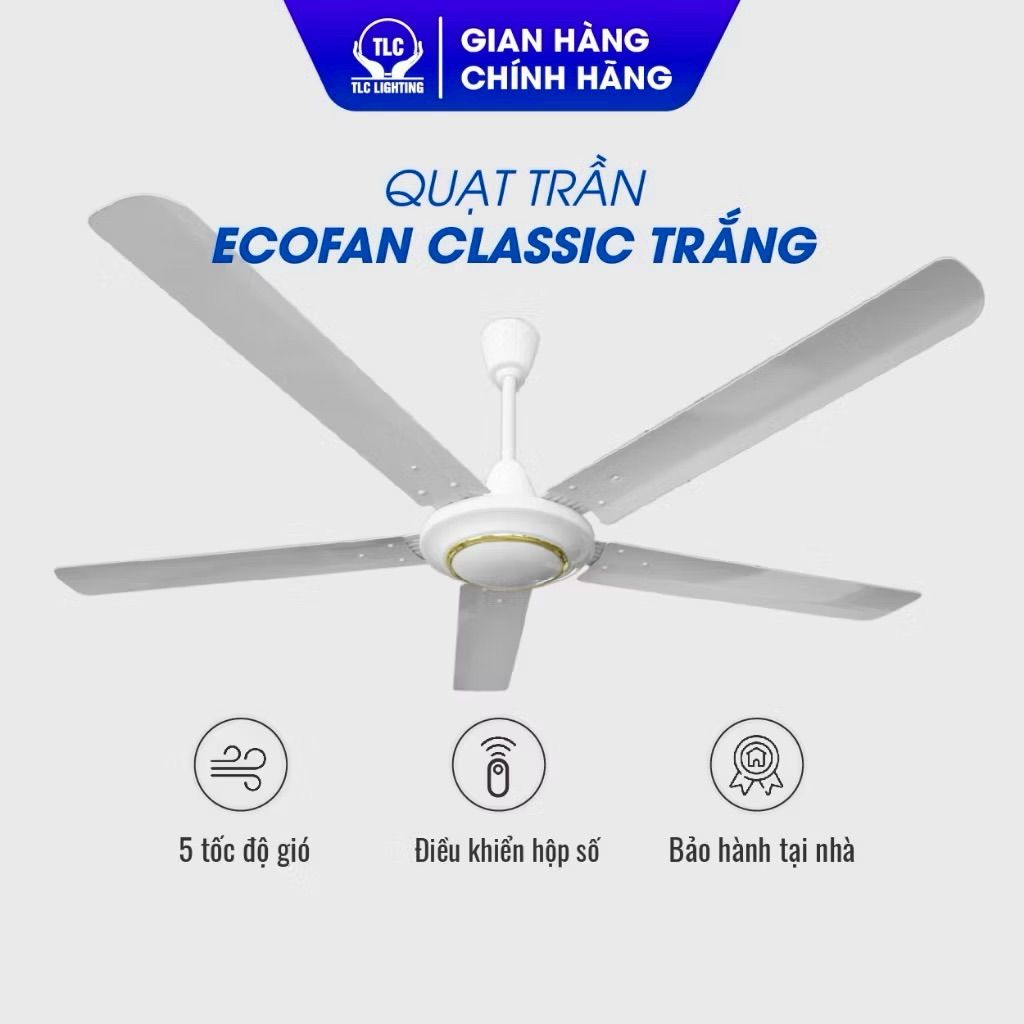 vn-11134103-7ras8-mcasbt5u64zg23