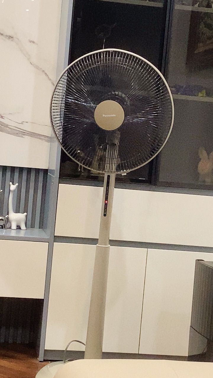 vn-11134103-7ras8-mcasw8dg9zk5a0