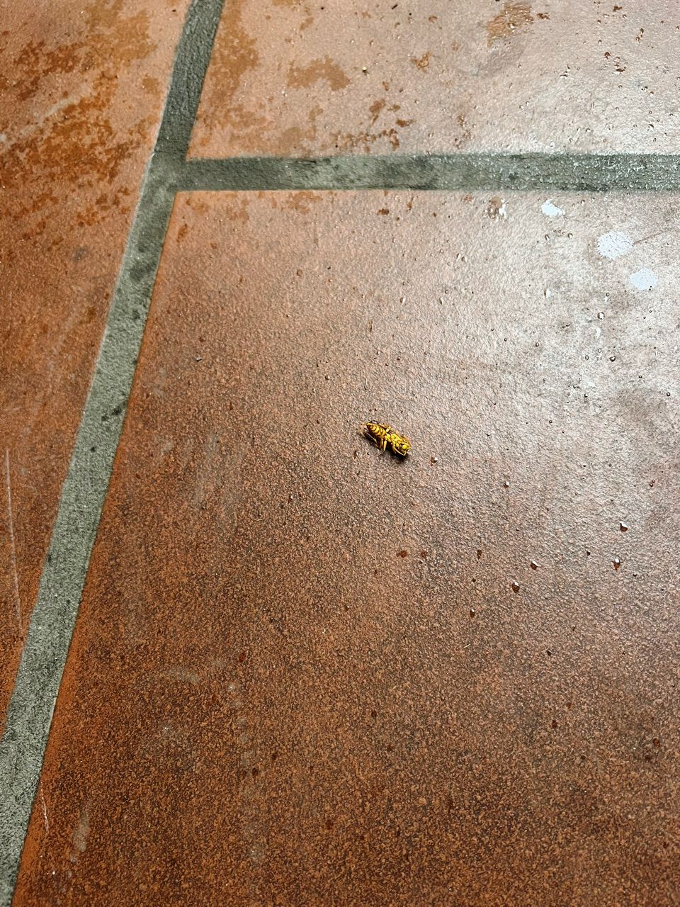 vn-11134103-7ras8-mcinwc7o3spu23