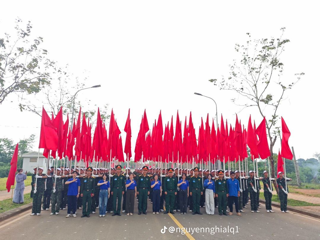 vn-11134103-7ras8-mcj0dh50yfqa69