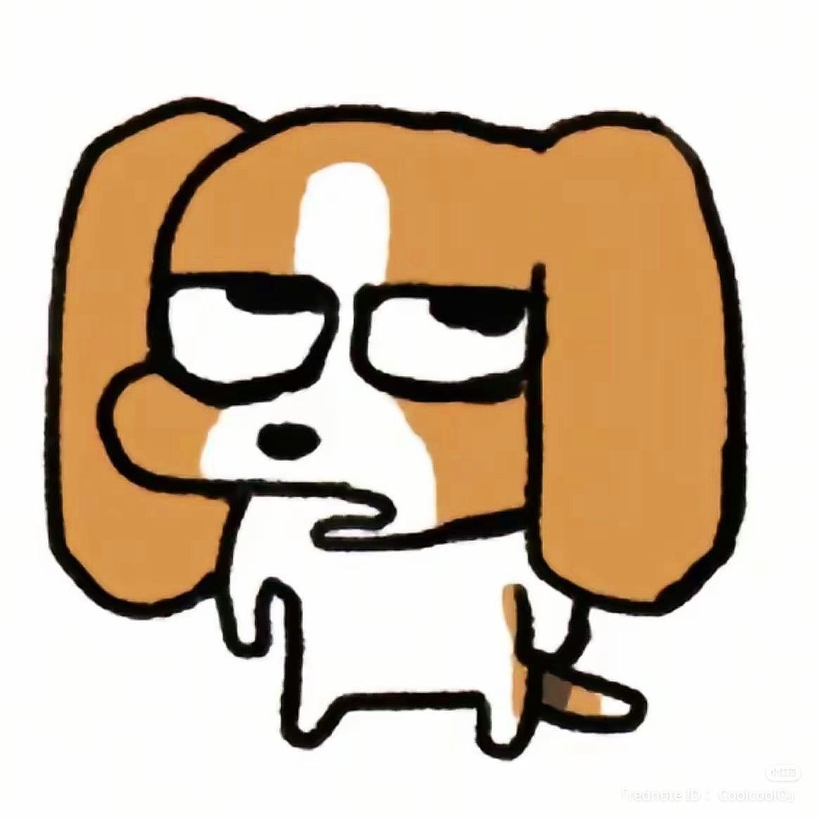 vn-11134103-7ras8-mcy71hcduo9ob1