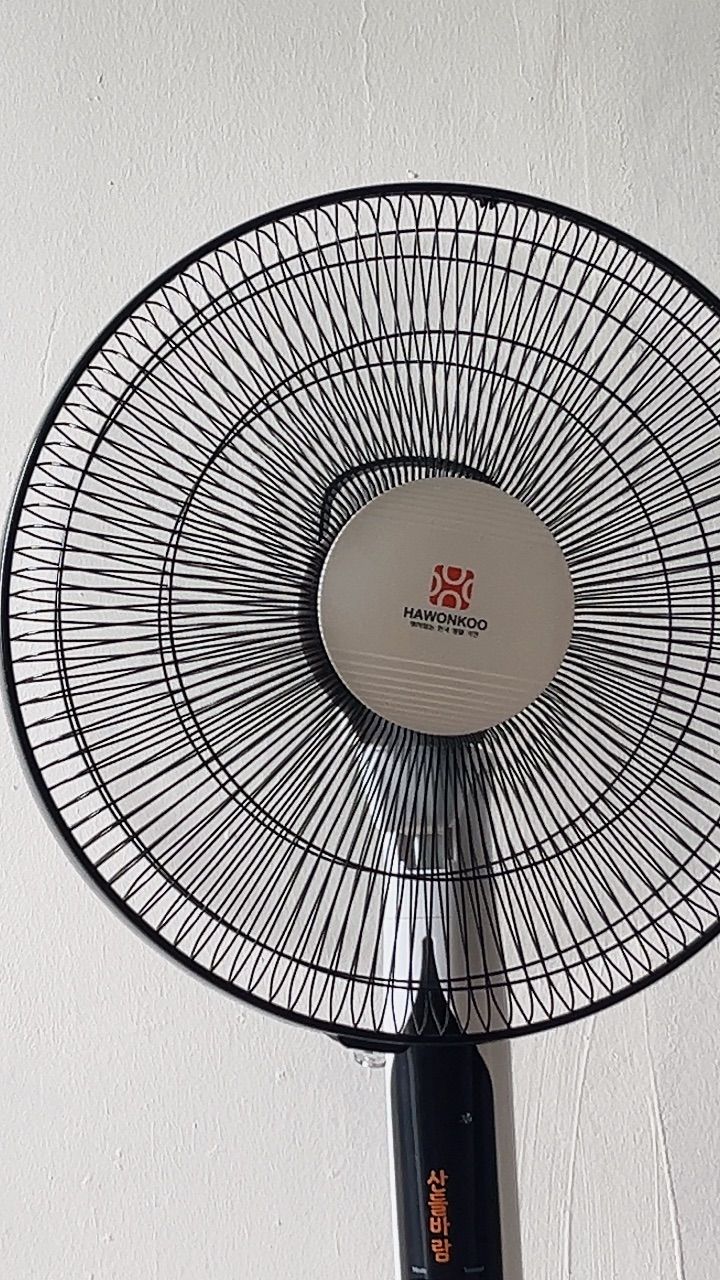 vn-11134103-7ras8-mdk1ajjmvcfl25