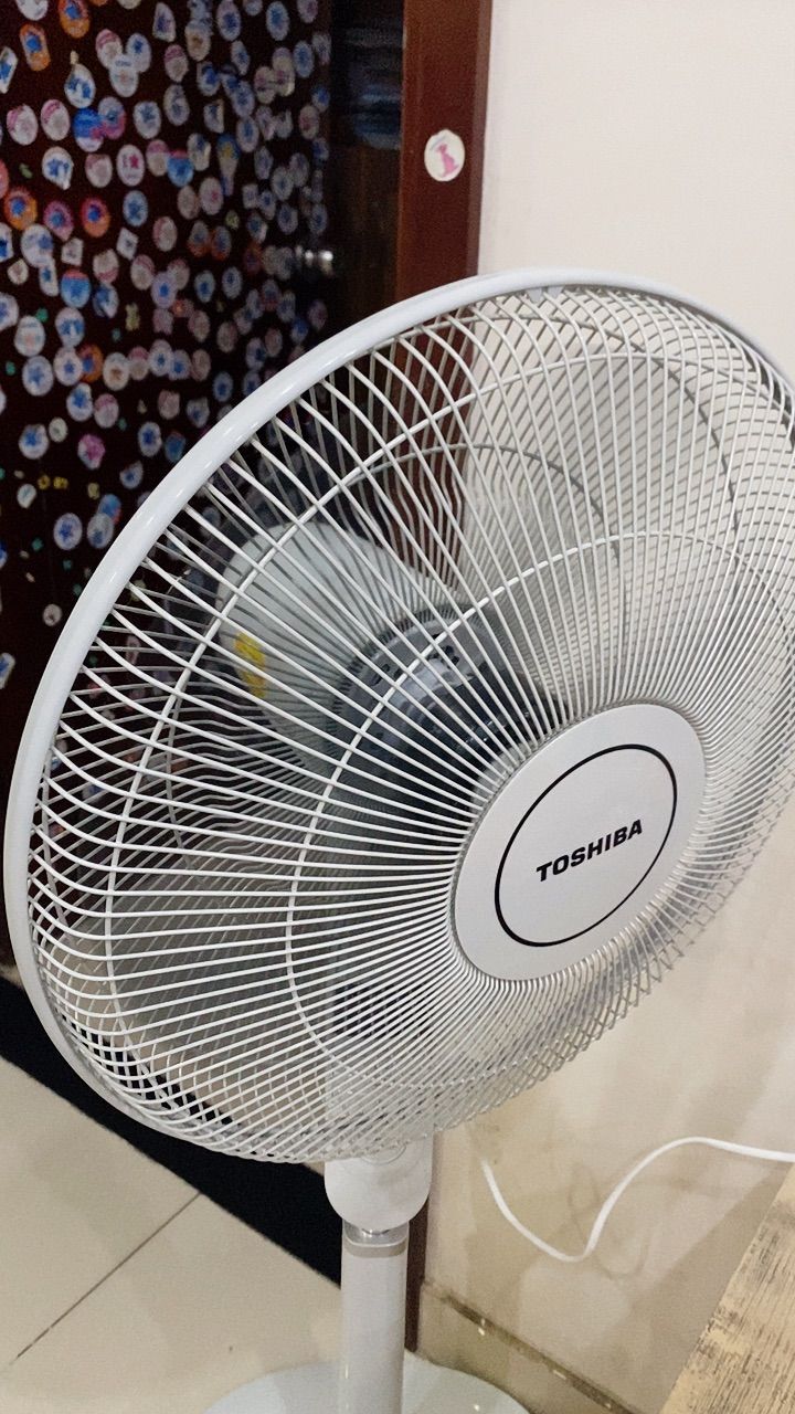 vn-11134103-7ras8-mdk9xjyc7d81ef