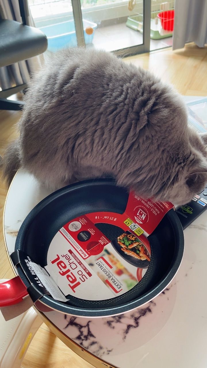 vn-11134103-7ras8-mdo5pwzn42it0a