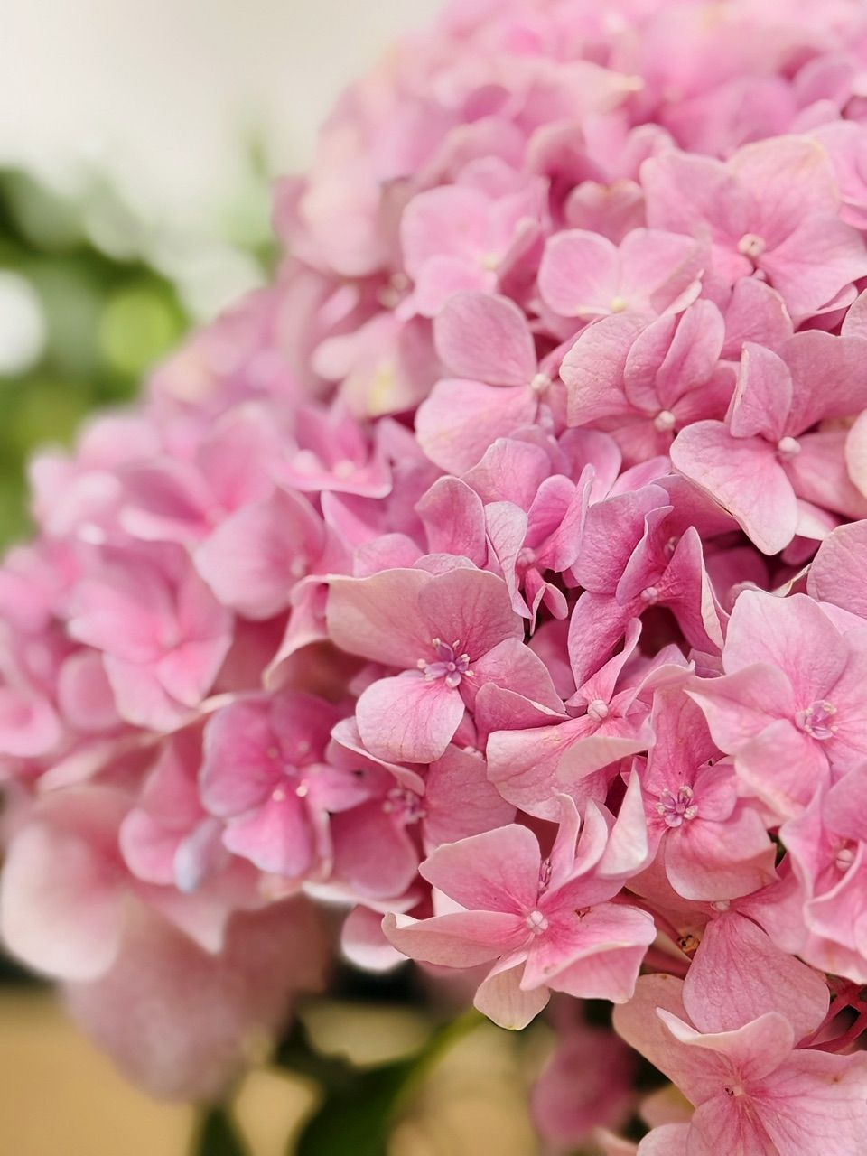 vn-11134103-7ras8-mdokzv6kuqzz01