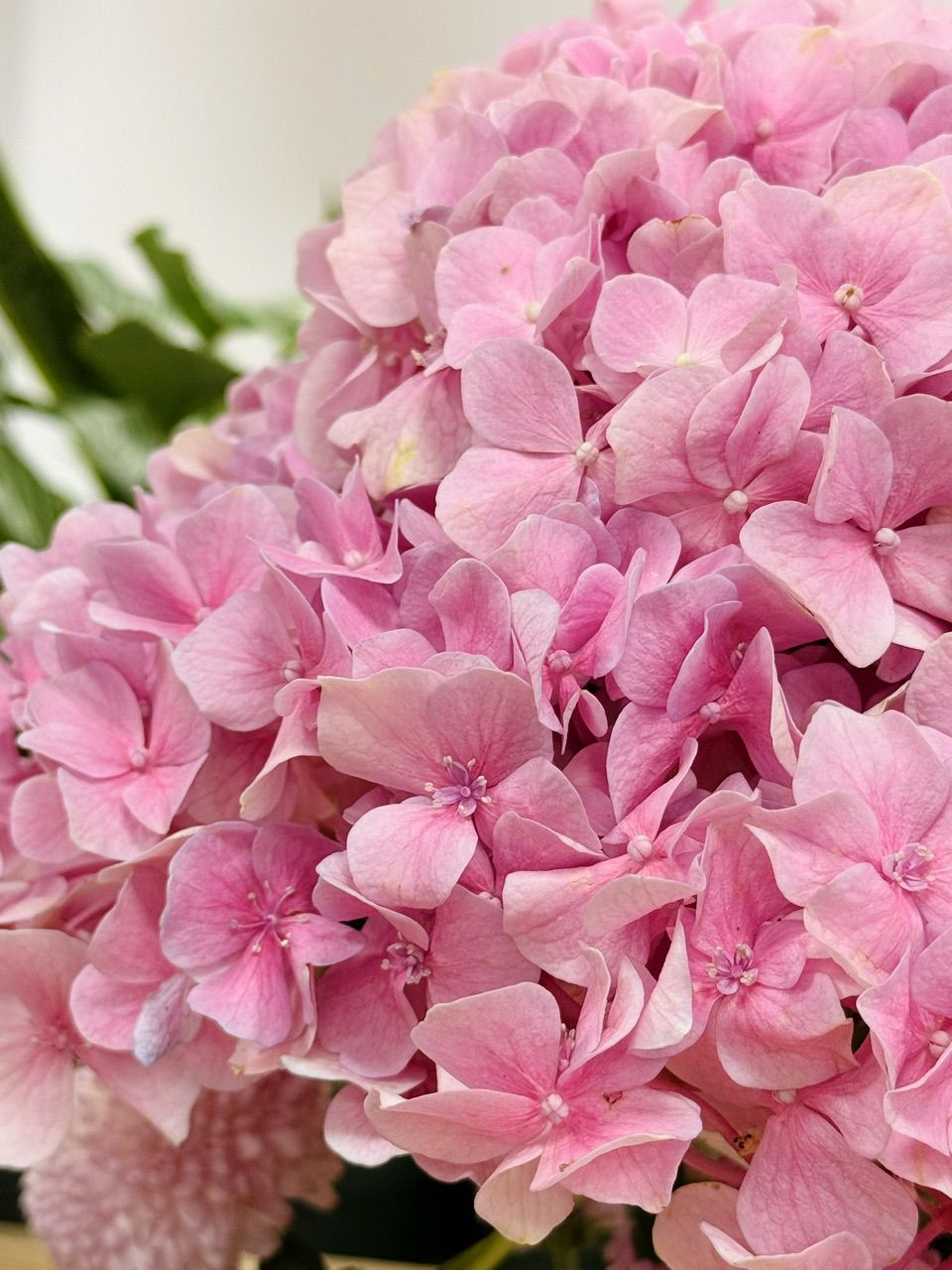 vn-11134103-7ras8-mdokzv8irx693b