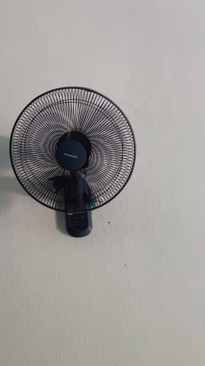 vn-11134103-7ras8-mdsarr4vzvetc1