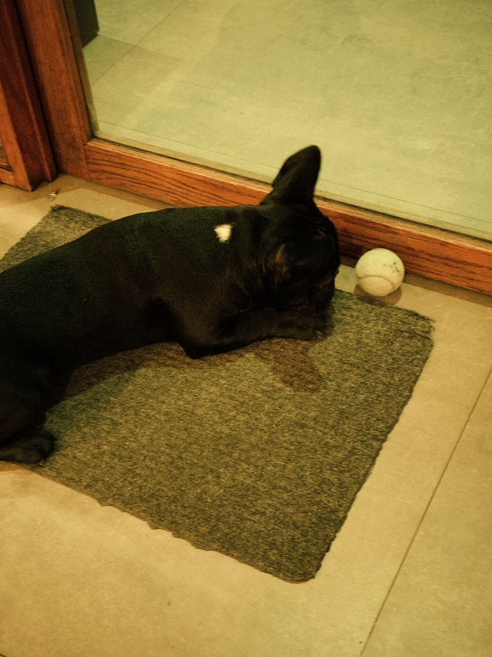 vn-11134103-7ras8-mdvdmvexb0np6c