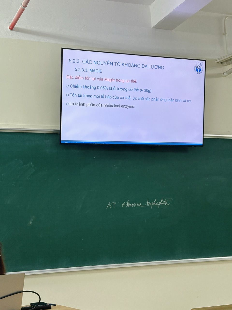 Khách mặc Áo Sơ Mi Dài Tay NOAM Nafox Oxford - Màu Trắng/ Xanh/ Tím/ Be/ Hồng/ Kẻ Hồng/ Kẻ Đỏ/ Kẻ Xanh/ Kẻ Tím