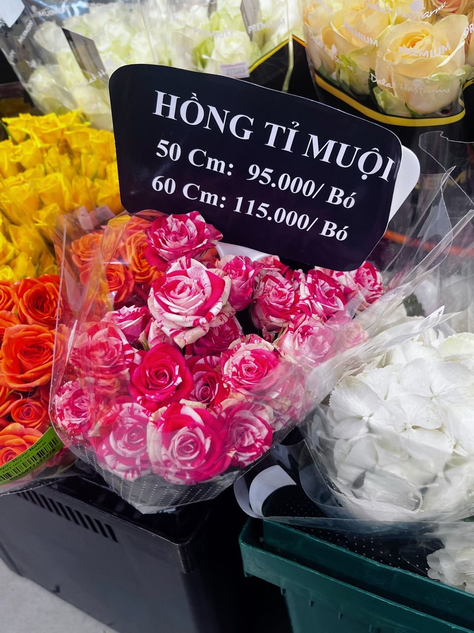 Khách mặc Tất vớ Nam Nữ NOAM cổ cao Cotton co giãn 4 chiều chất liệu dày dặn thấm hút mồ hôi