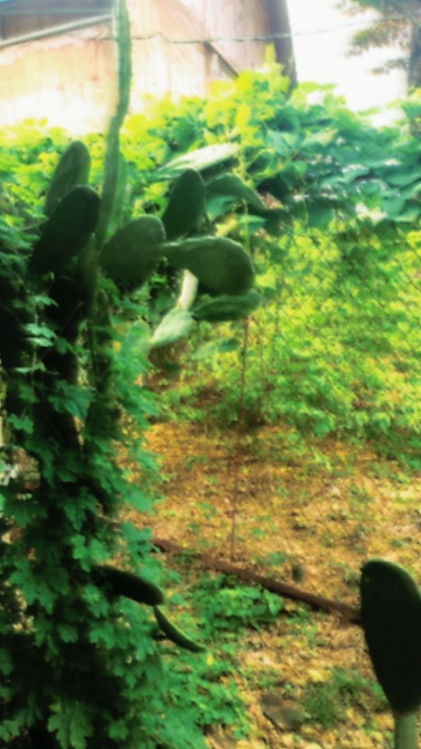 vn-11134103-820l4-mdvq53u7p8ucb9