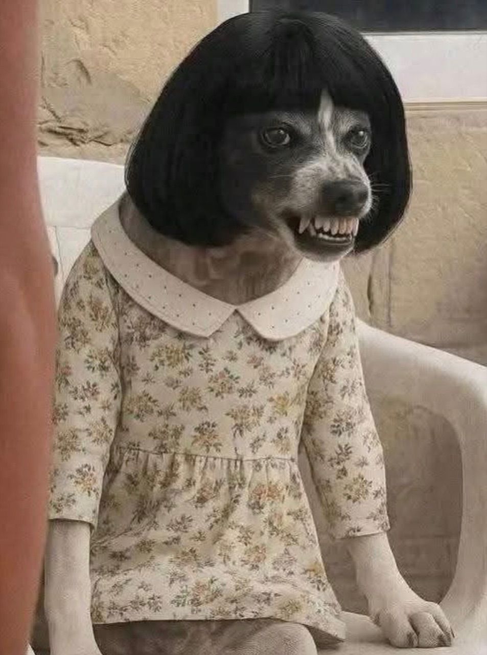 vn-11134103-820l4-mdyi4z5v2yv6da