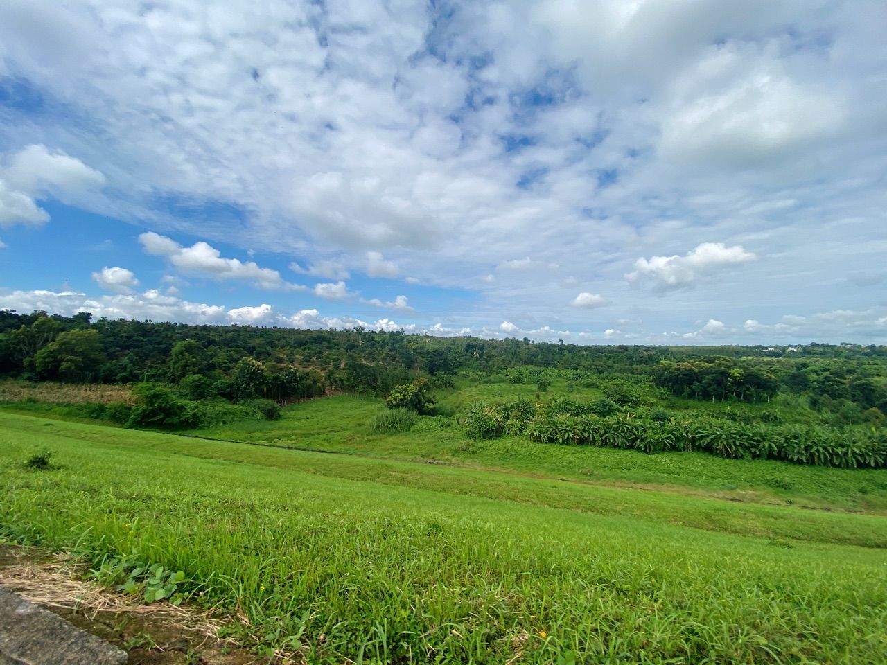 vn-11134103-820l4-mebbw34zsfev3c