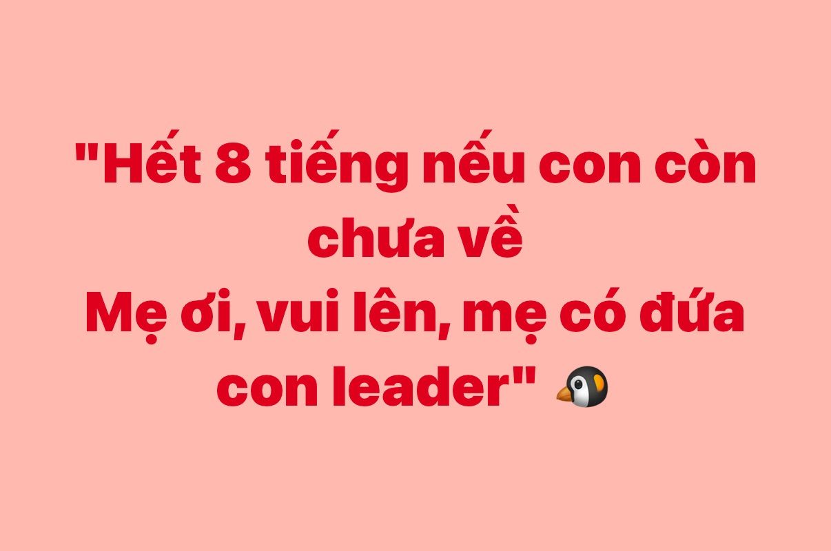 vn-11134103-820l4-med075m65ret6d