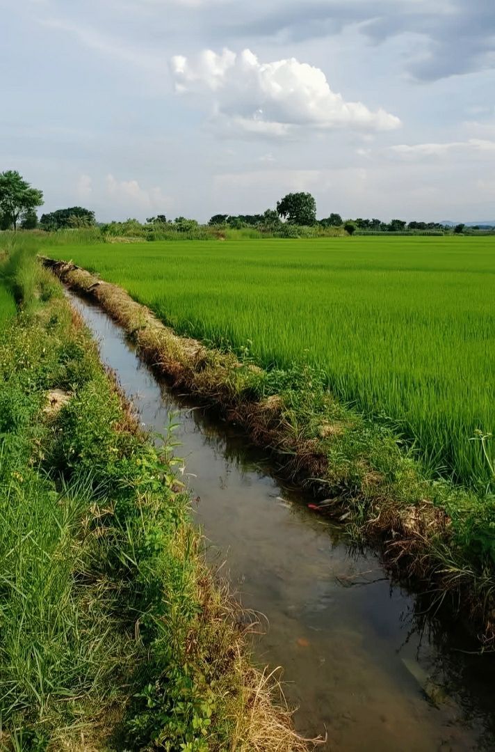 vn-11134103-820l4-meg93vwnwsn65a