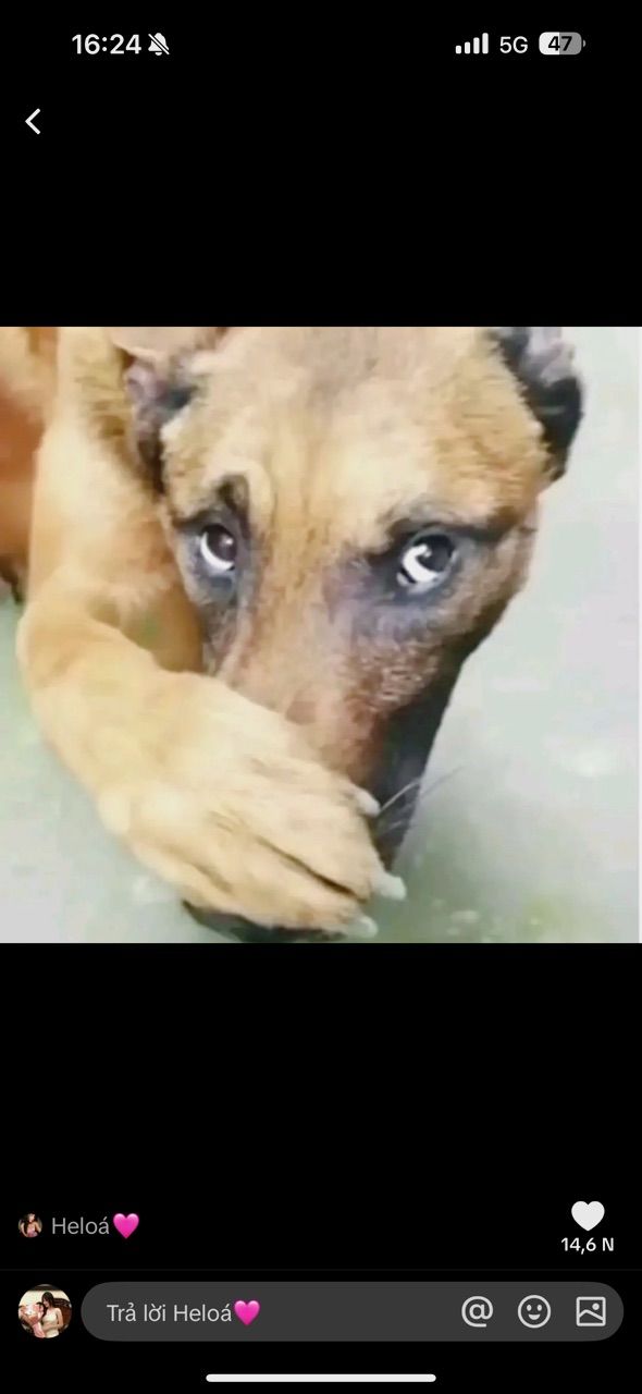 vn-11134103-820l4-memwlnp9oruoef