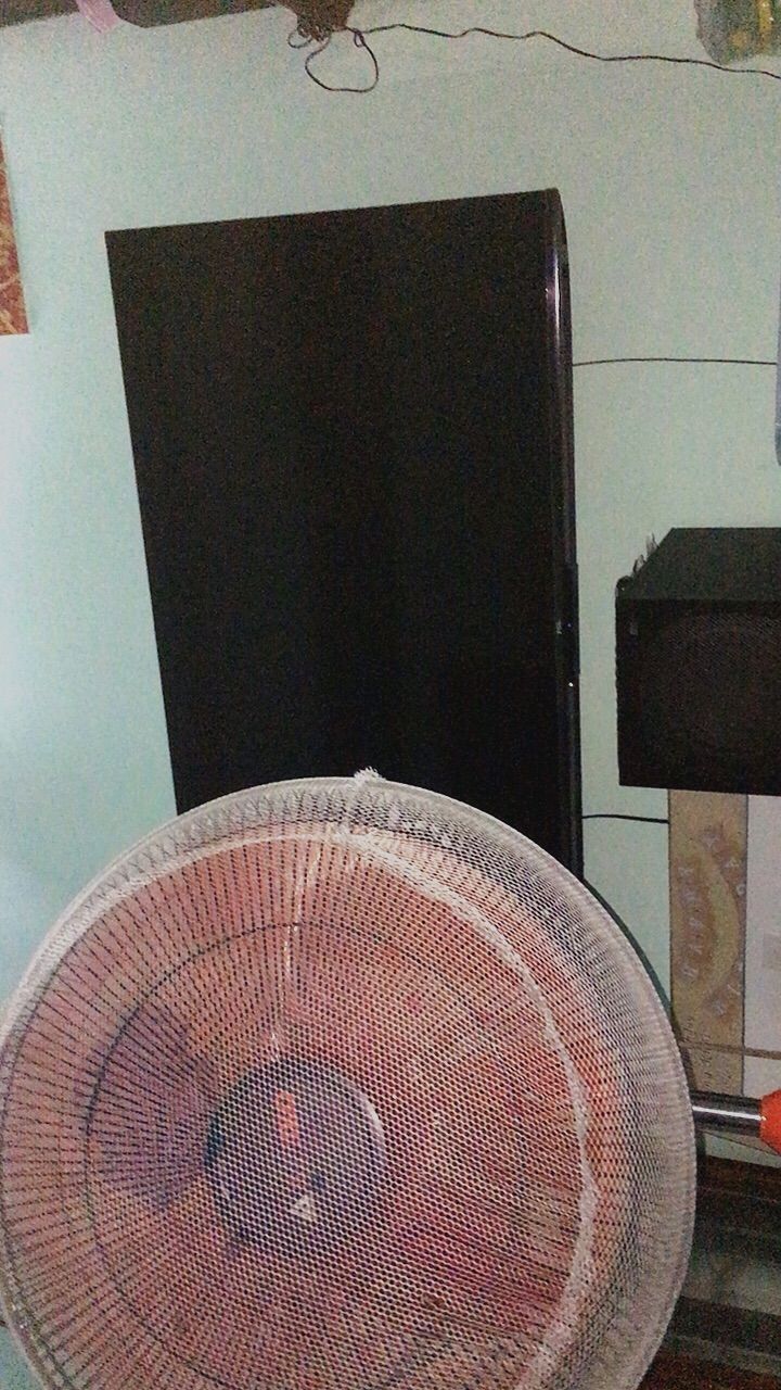 vn-11134103-820l4-men6gfjlc8p261