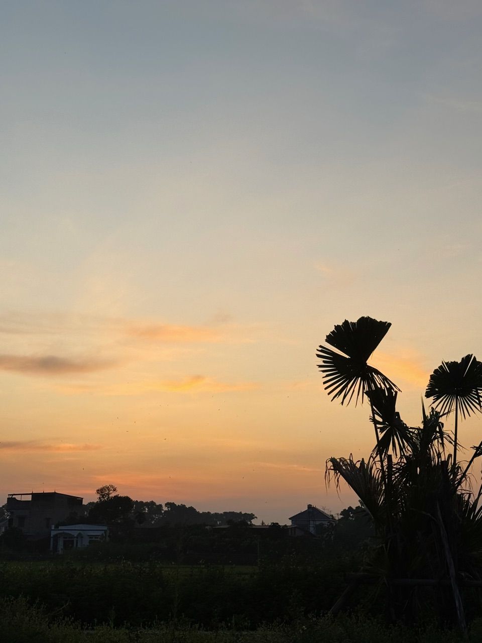 vn-11134103-820l4-men73wtkwft295