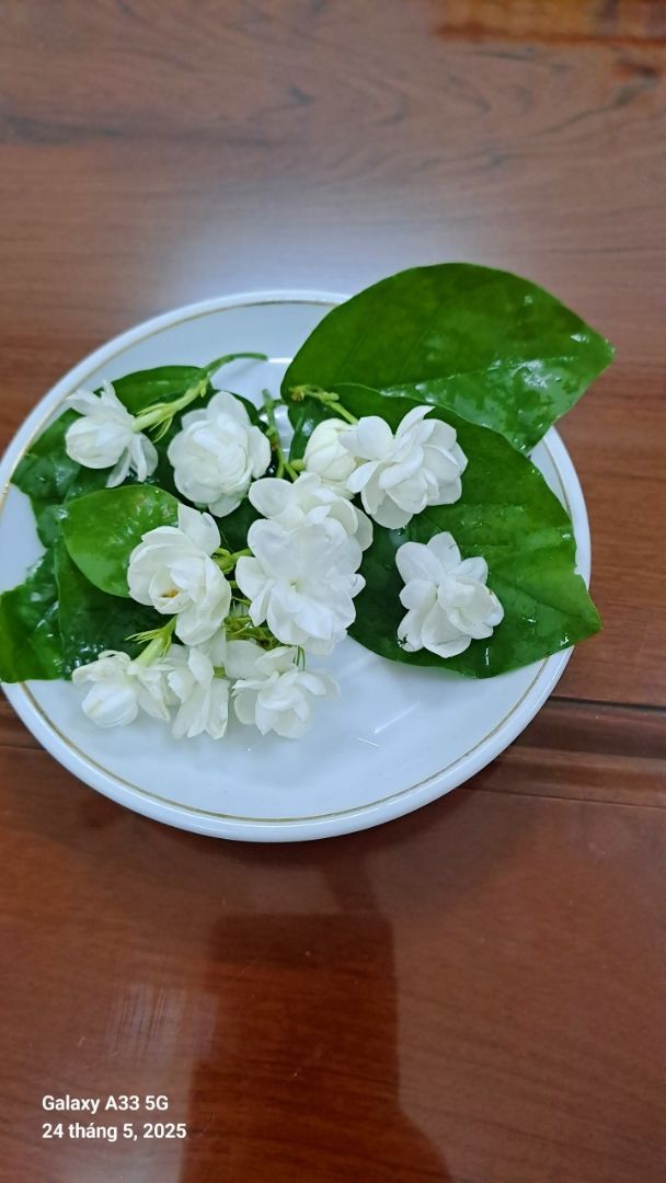 vn-11134103-820l4-meyfy44q639j9b