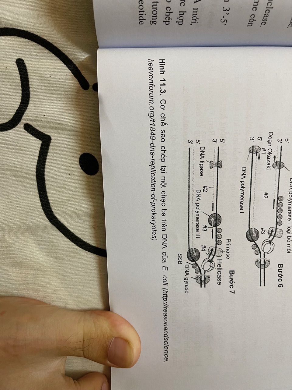 vn-11134103-820l4-mf1uz15ineob3d