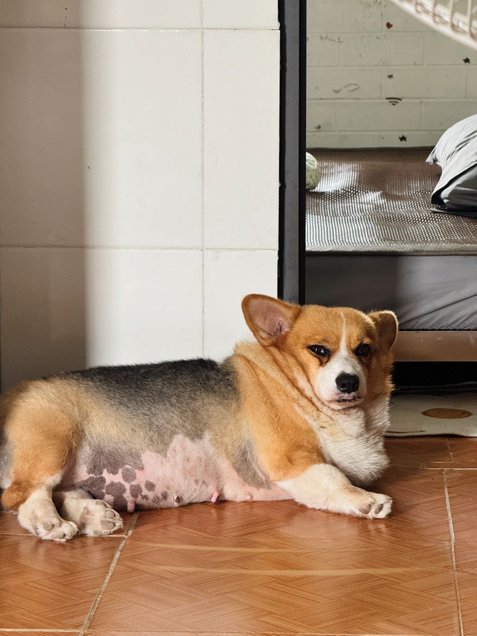 vn-11134103-820l4-mf2770hxkk5pbc