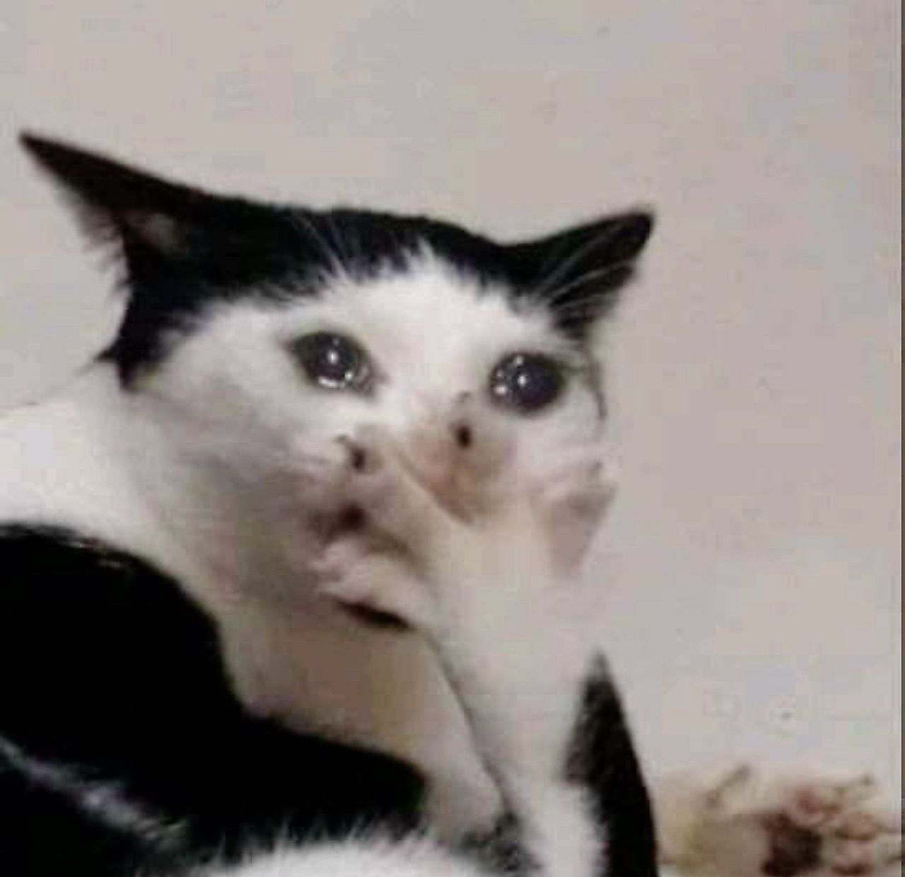 vn-11134103-820l4-mf405alzt0r2ba