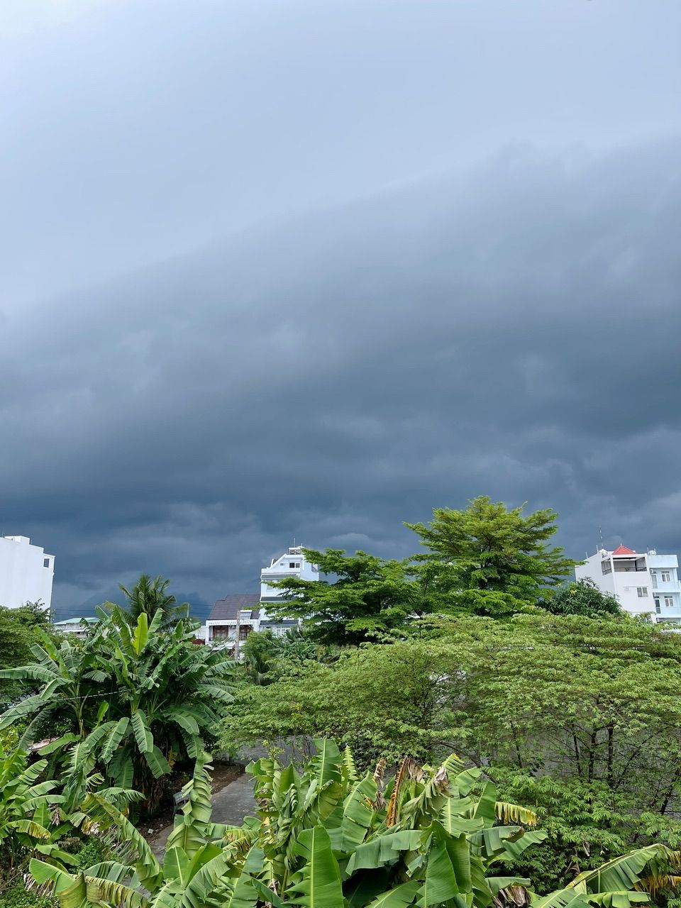 vn-11134103-820l4-mf6ag3kix9fz66