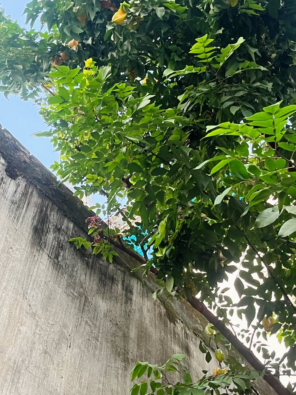 vn-11134103-820l4-mfiga8bq6ia366