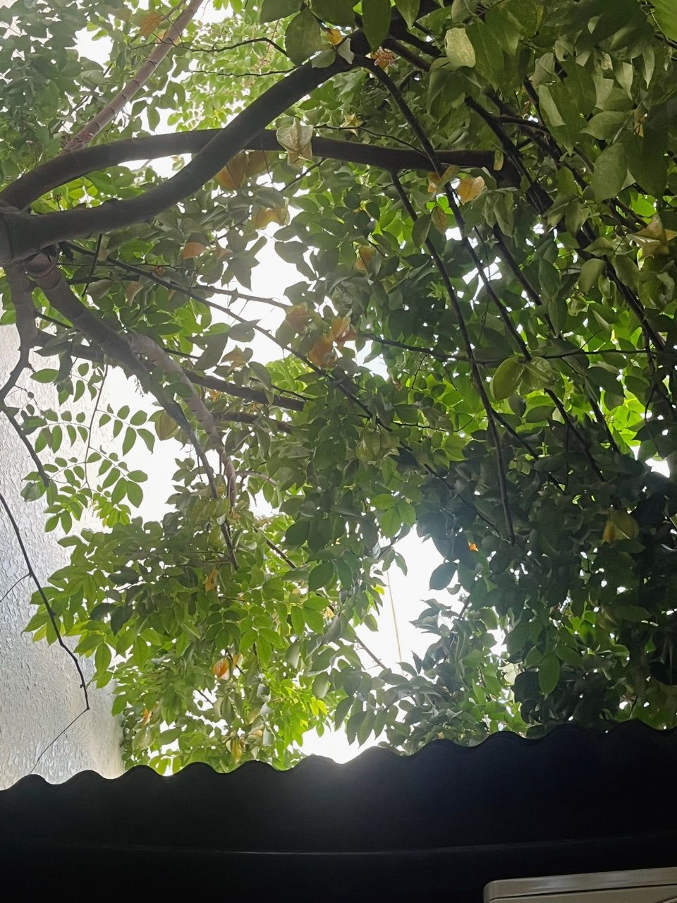 vn-11134103-820l4-mfigd0ulslcfef