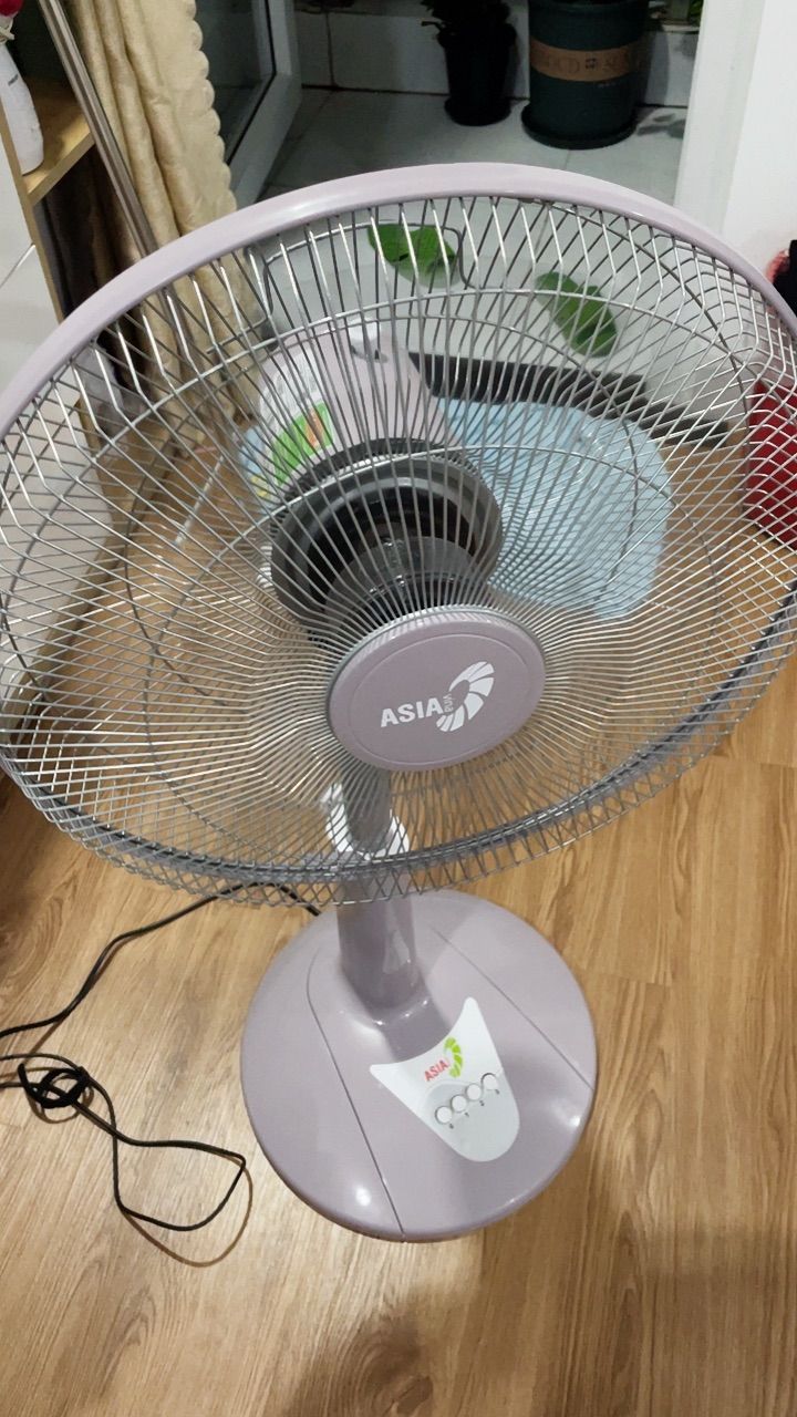 vn-11134103-820l4-mfv237yw9qtl77