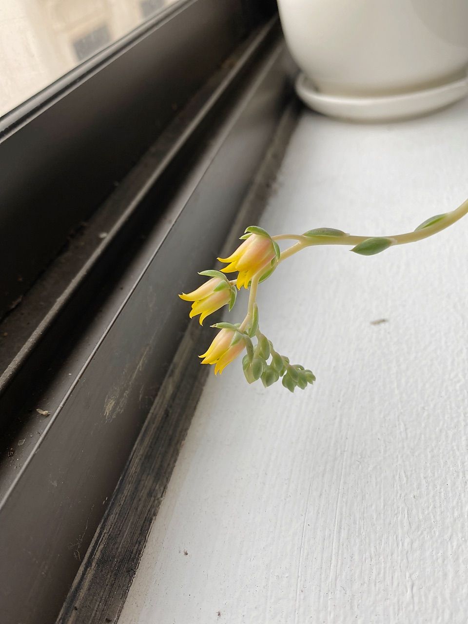 vn-11134103-820l4-mfvzb6cv3tot20