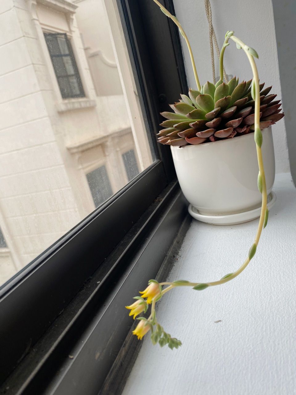 vn-11134103-820l4-mfvzb6cyrv2k23