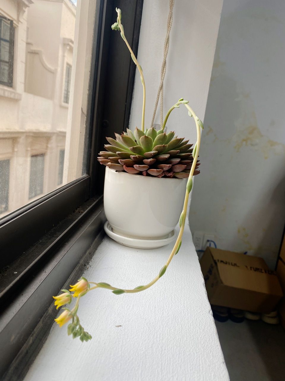 vn-11134103-820l4-mfvzb6czmrk842