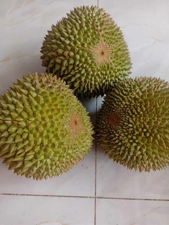 vn-11134103-820l4-mgj93fimkzrh70