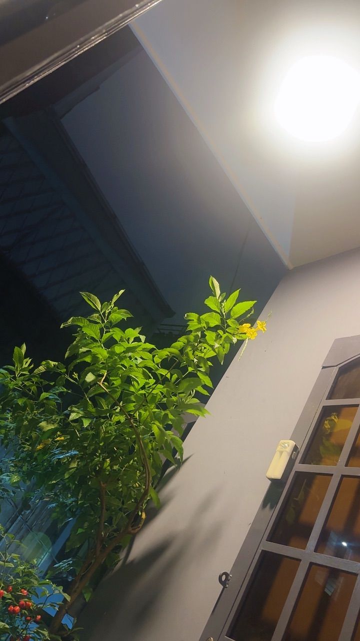 vn-11134103-820l4-mgji0ny6jocsce