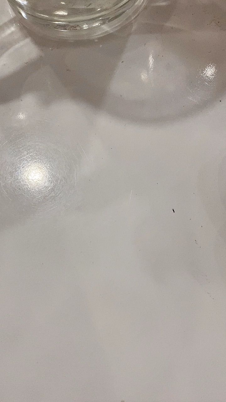 vn-11134103-820l4-mgne8c963t3eba