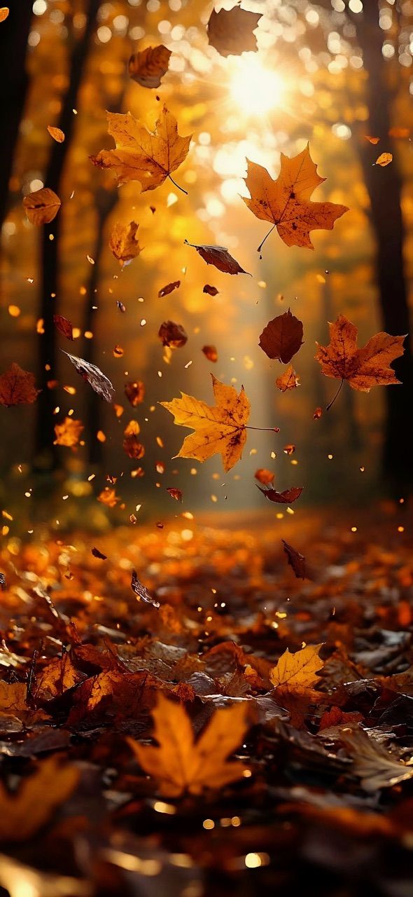 vn-11134103-820l4-mhf1jn6af022ec