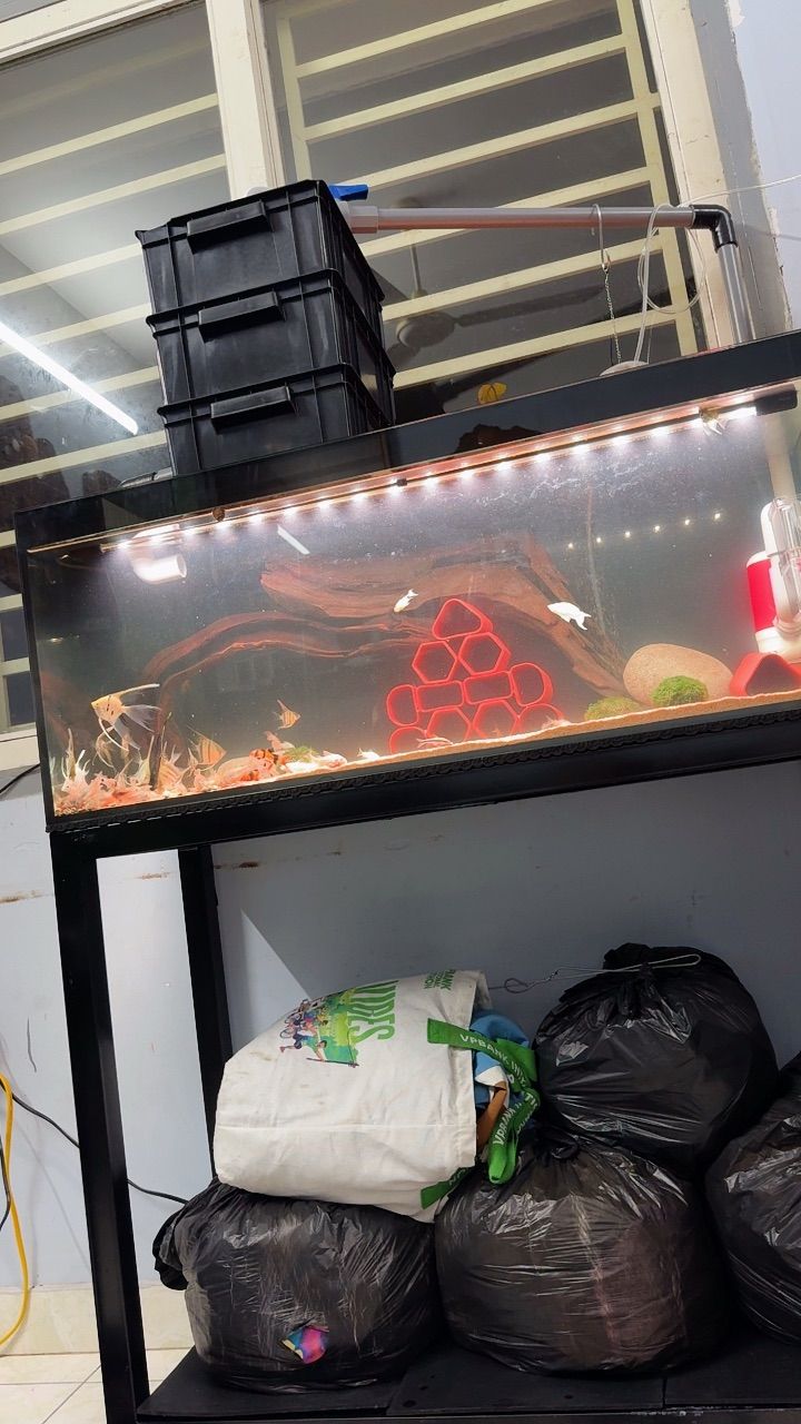 vn-11134103-820l4-mhj0ypa65bls6d