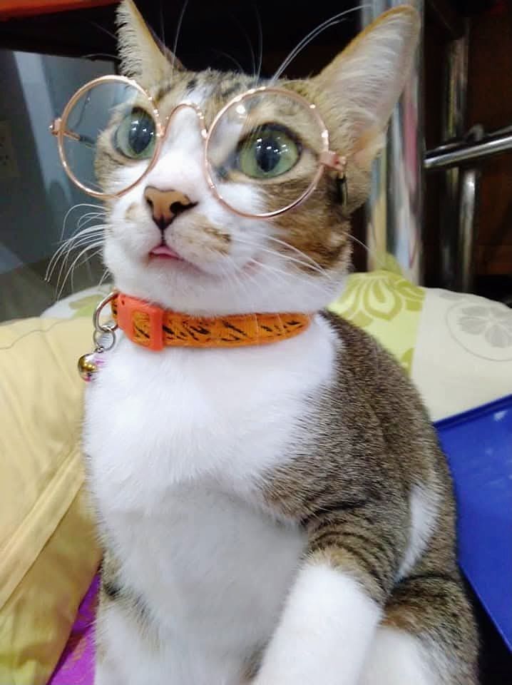 vn-11134103-820l4-mhodg26v3k7cd8