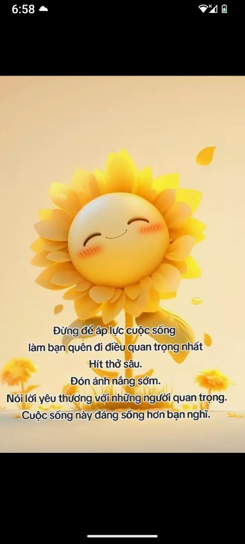 vn-11134103-820l4-mhodg26v7rwodd