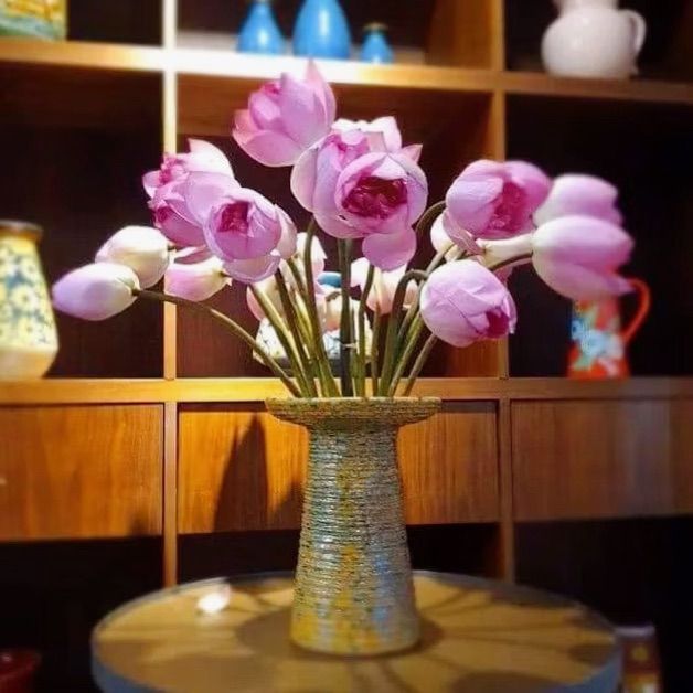 vn-11134103-820l4-mhqzkofm9ybn9d