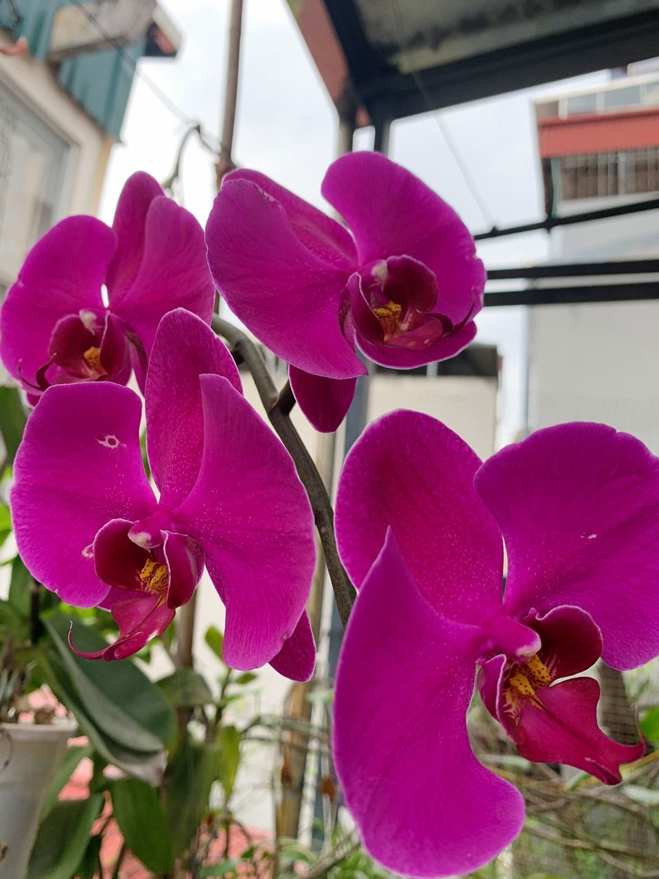 vn-11134103-820l4-mhxajwucvkzs3e